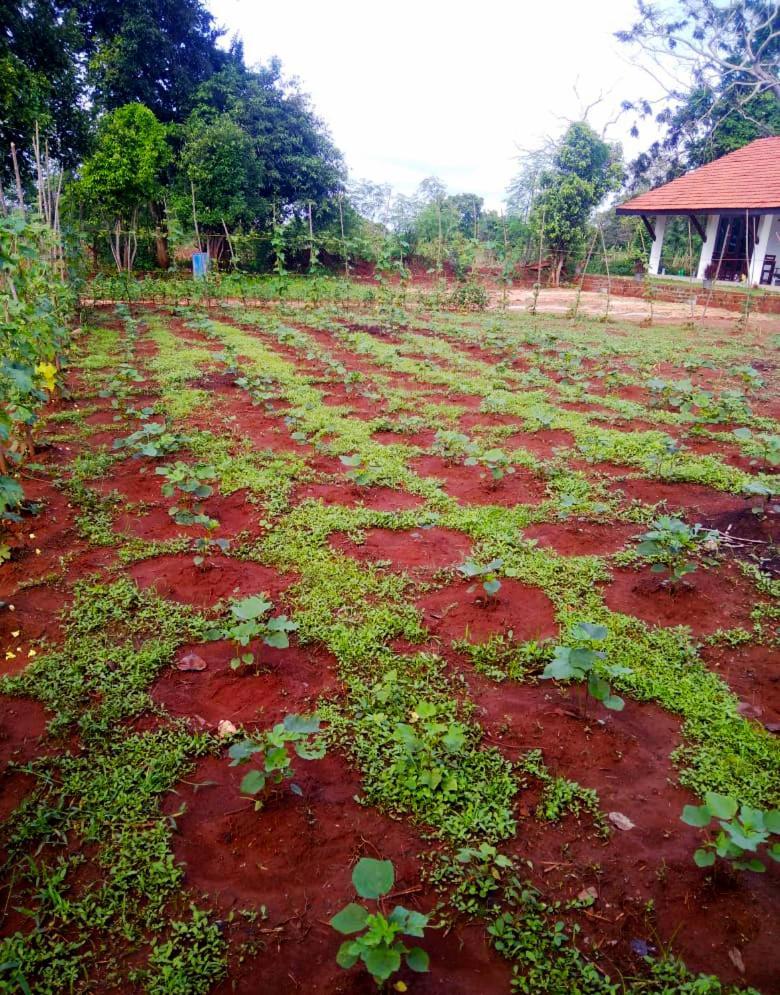 Hotel Moni Farm House Wilpattu Nochchiyagama Exterior foto